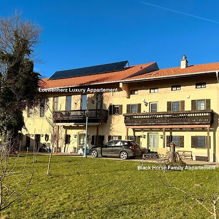 Loewenherz Homes Luxury - Stadt- Und Seenaehe - Fellnasenfreundlich - Lichtdurchflutet Stephanskirchen